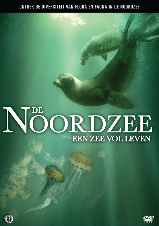 nieuwste tijd film noordzee zee leven